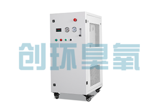 济源石斑鱼养殖水质调控完整指南：臭氧发生器配置与操作步骤
