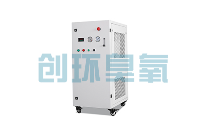济源比传统换水更高效？臭氧发生器在石斑鱼养殖中的水质净化原理解析